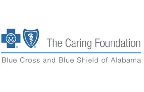 blue cross blue shield caring foundation